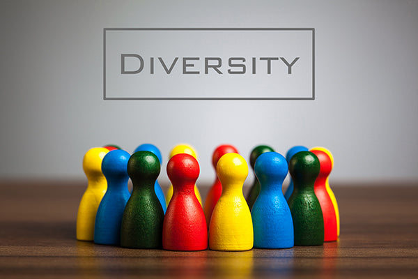 Diversity Awareness: Taking Action