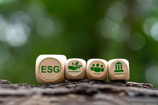 Introduction to Environment, Social and Governance (ESG)