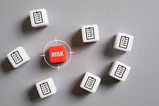 Risk management for managers