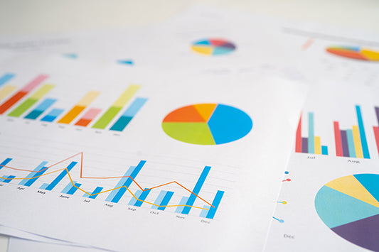 Project Management 08: Reporting